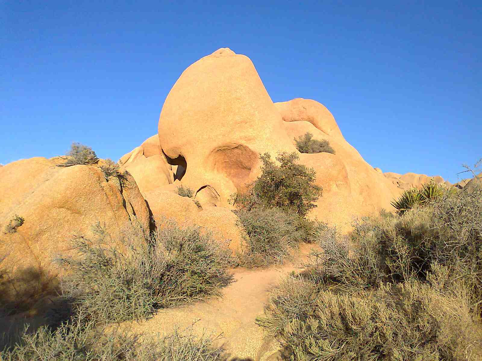 Skull-Rock