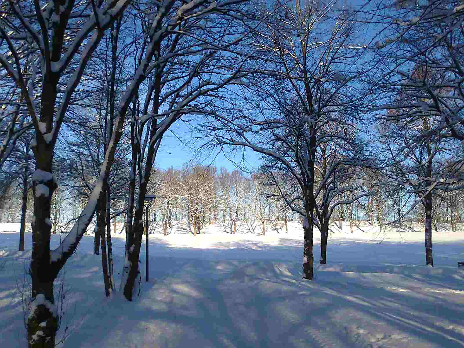 Winterbild